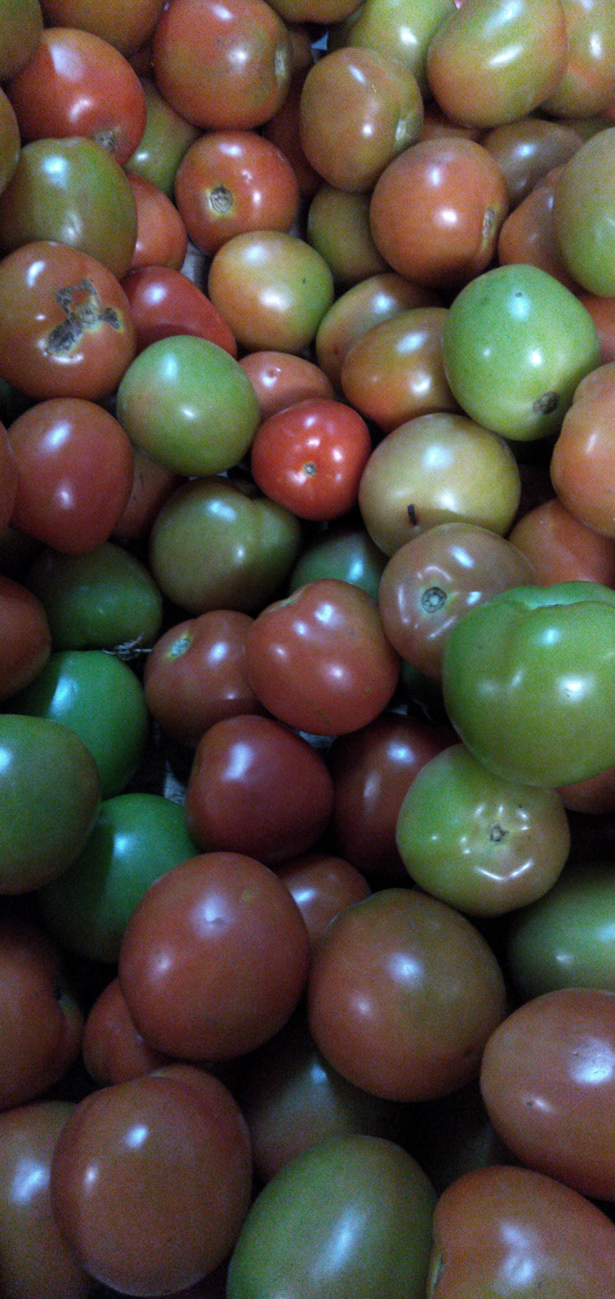 Tomate de aliño