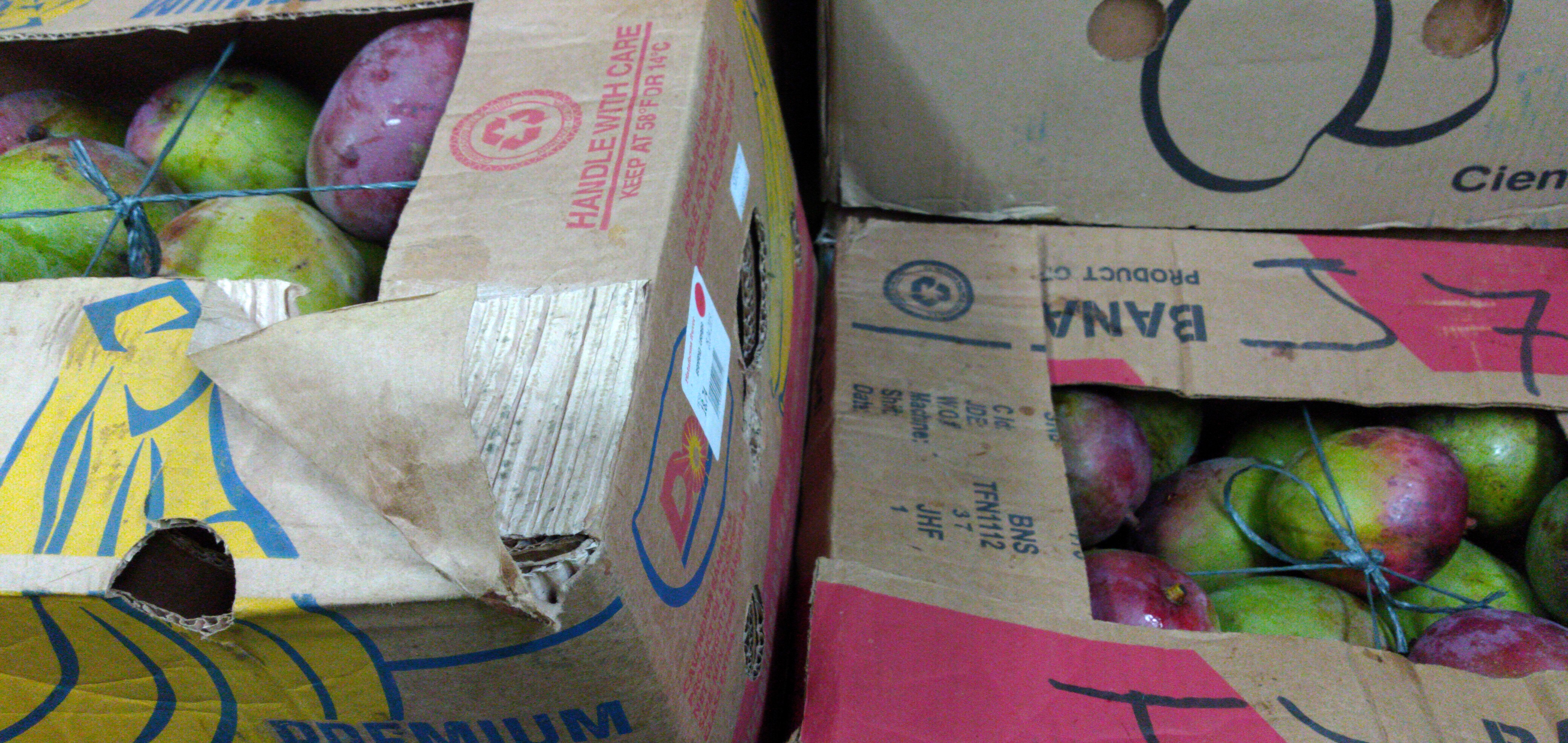 Mango tommy caja x 28 kg