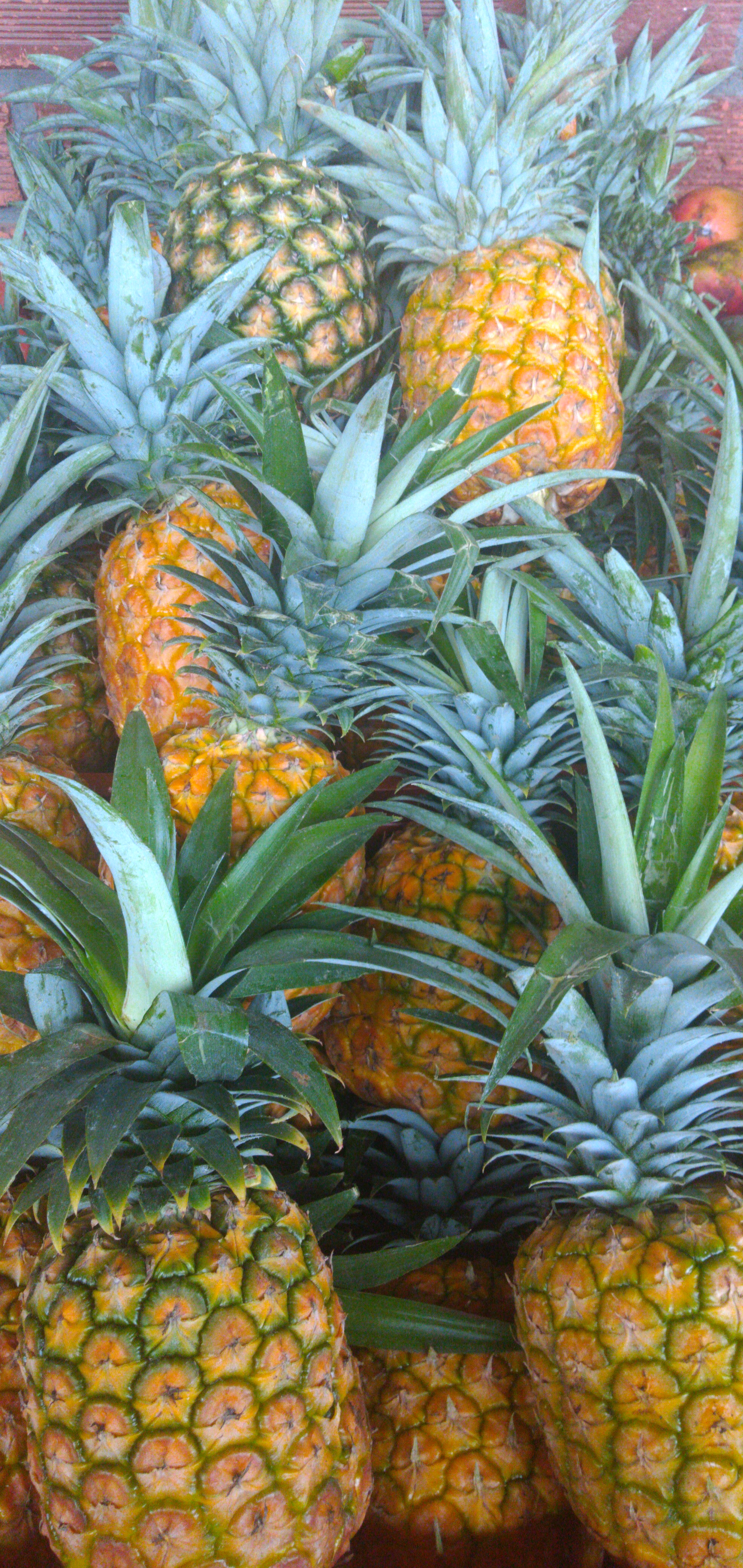 Piña oromiel