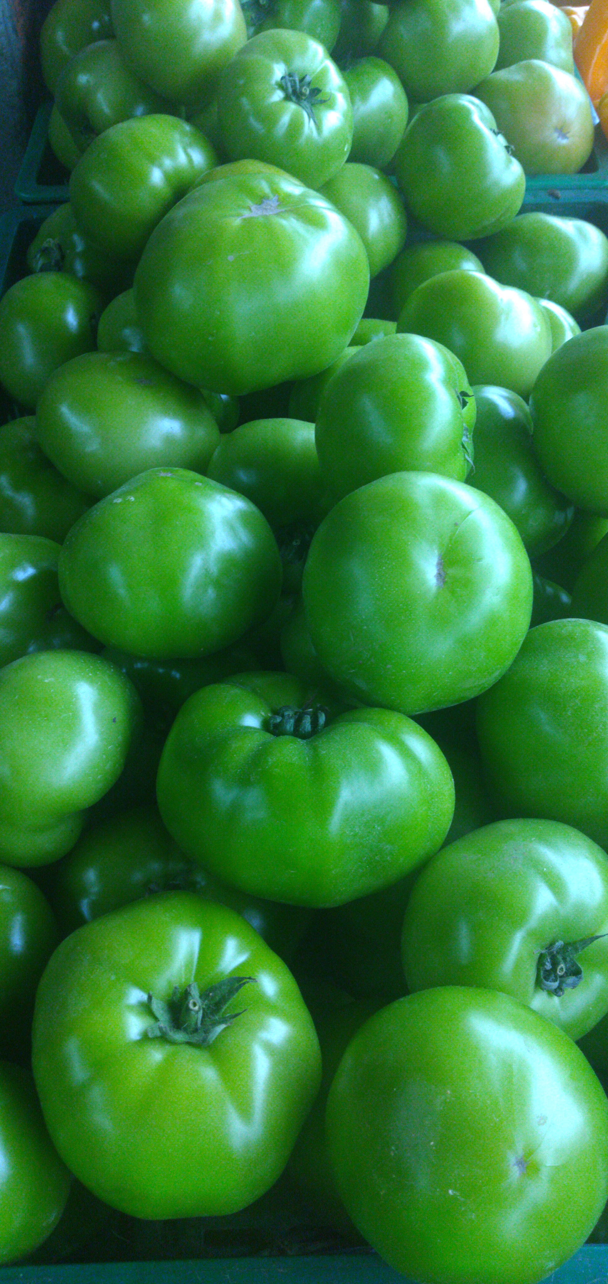 Tomate riñón