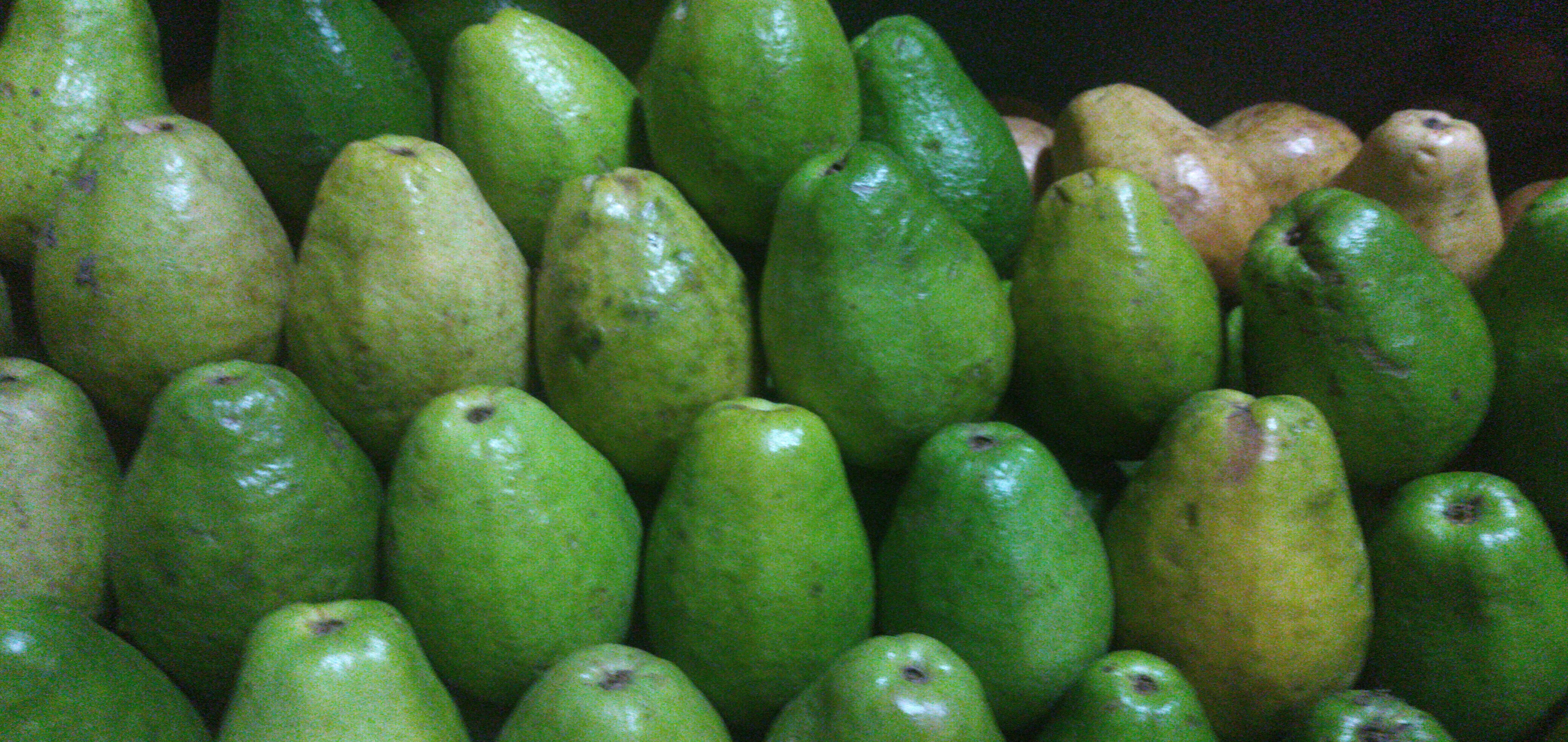 Guayaba