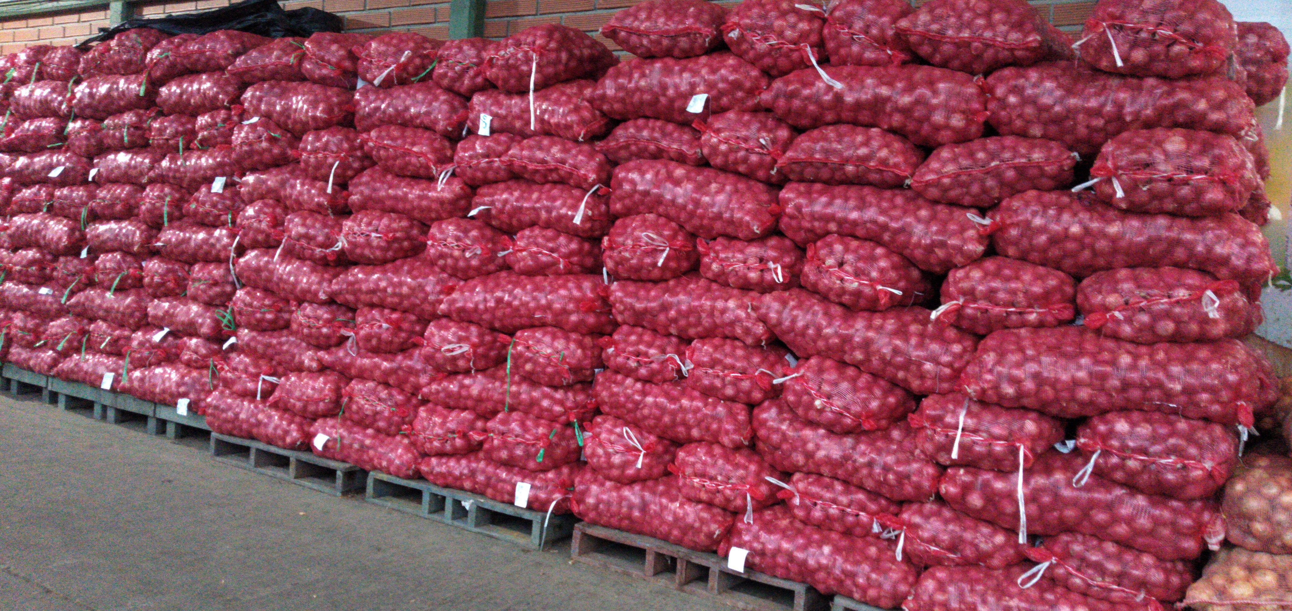 Cebolla roja peruana gruesa bulto x 45 kg