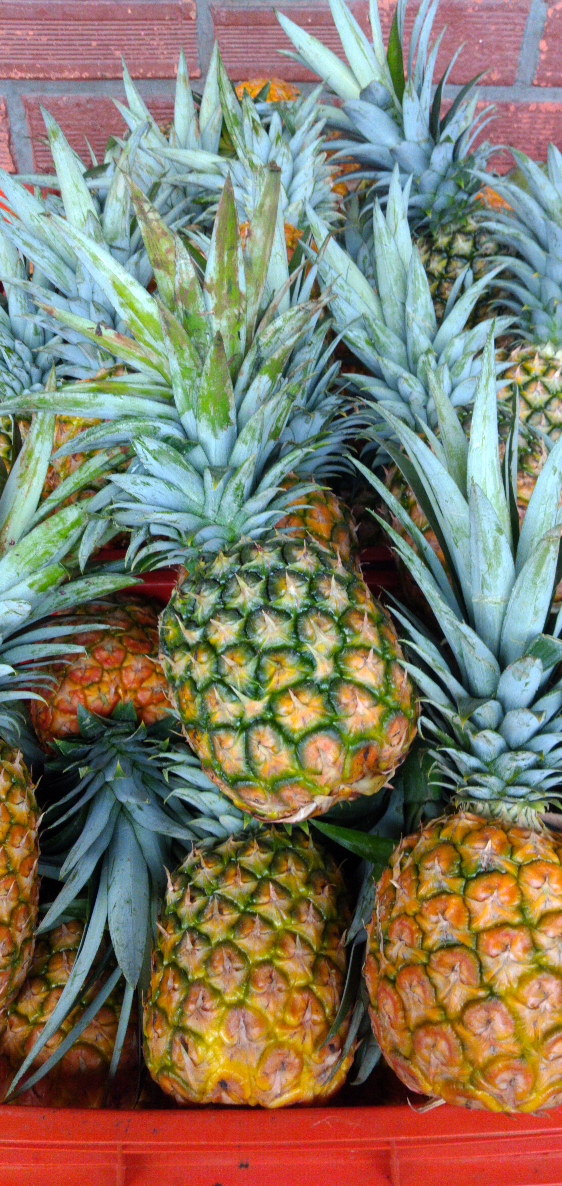 Piña oromiel