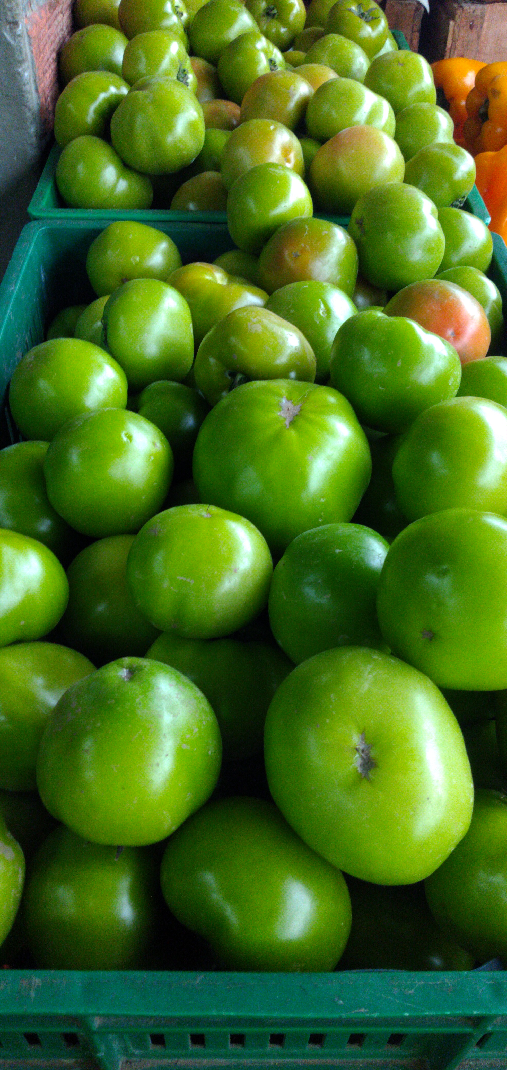 Tomate riñón