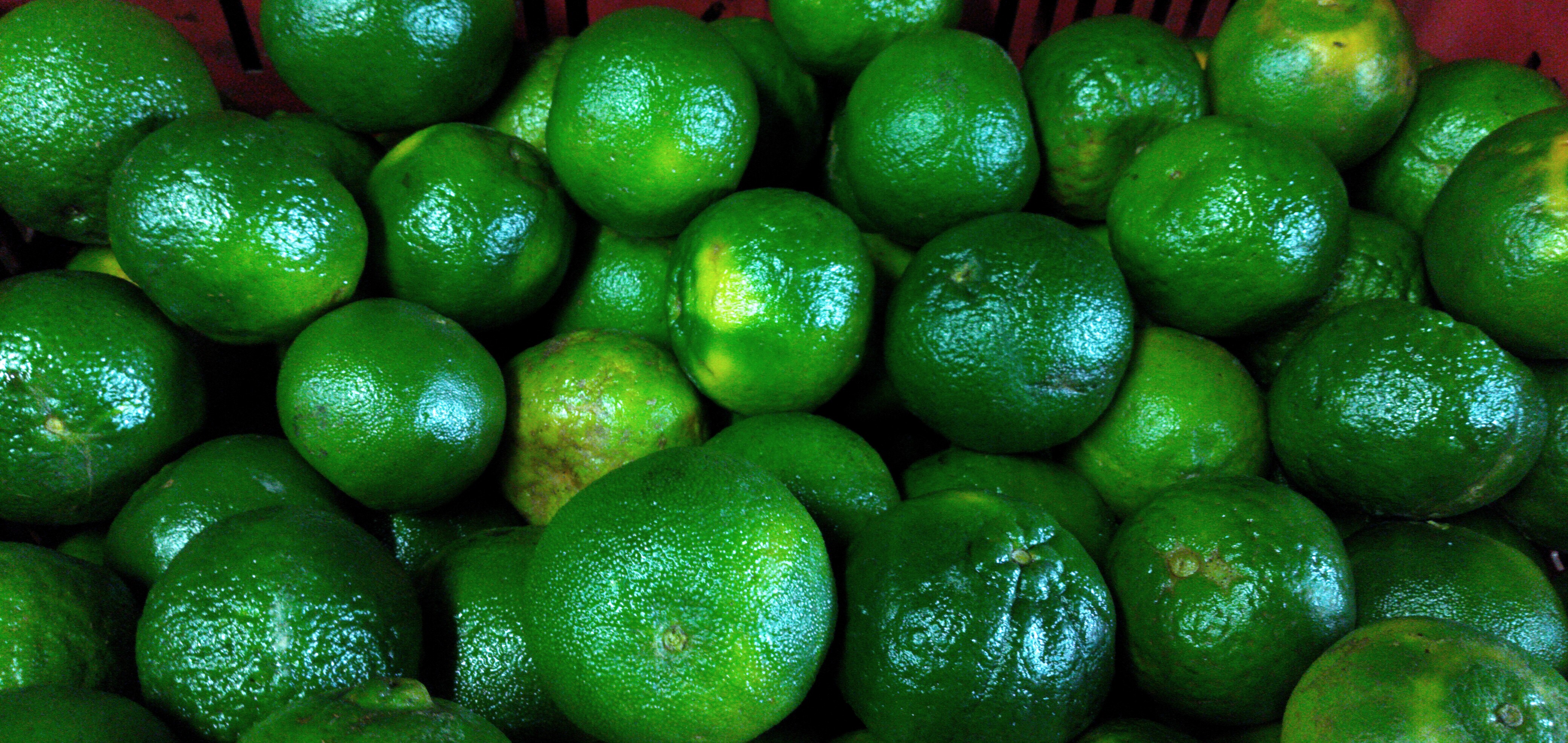 Mandarina