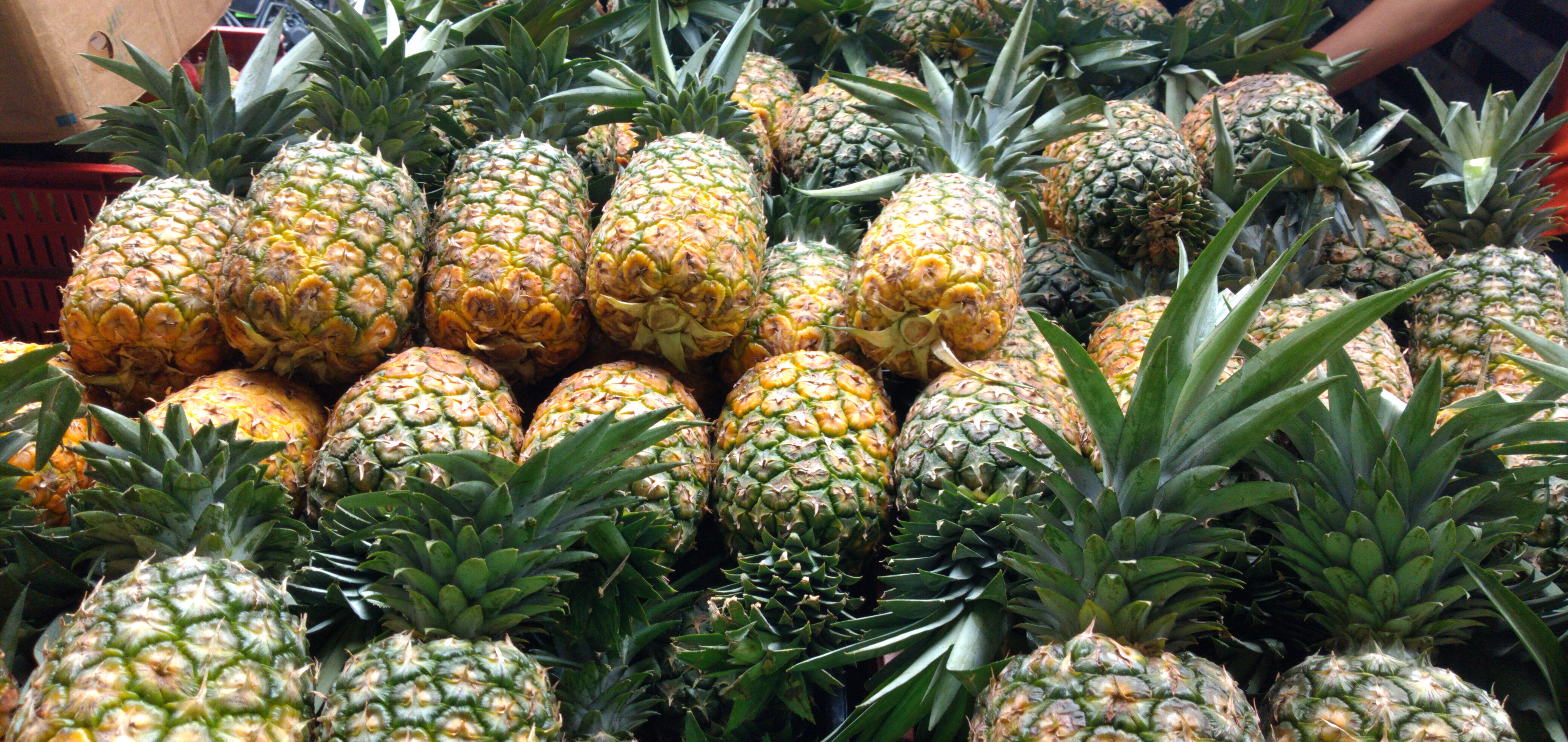 Piña oromiel