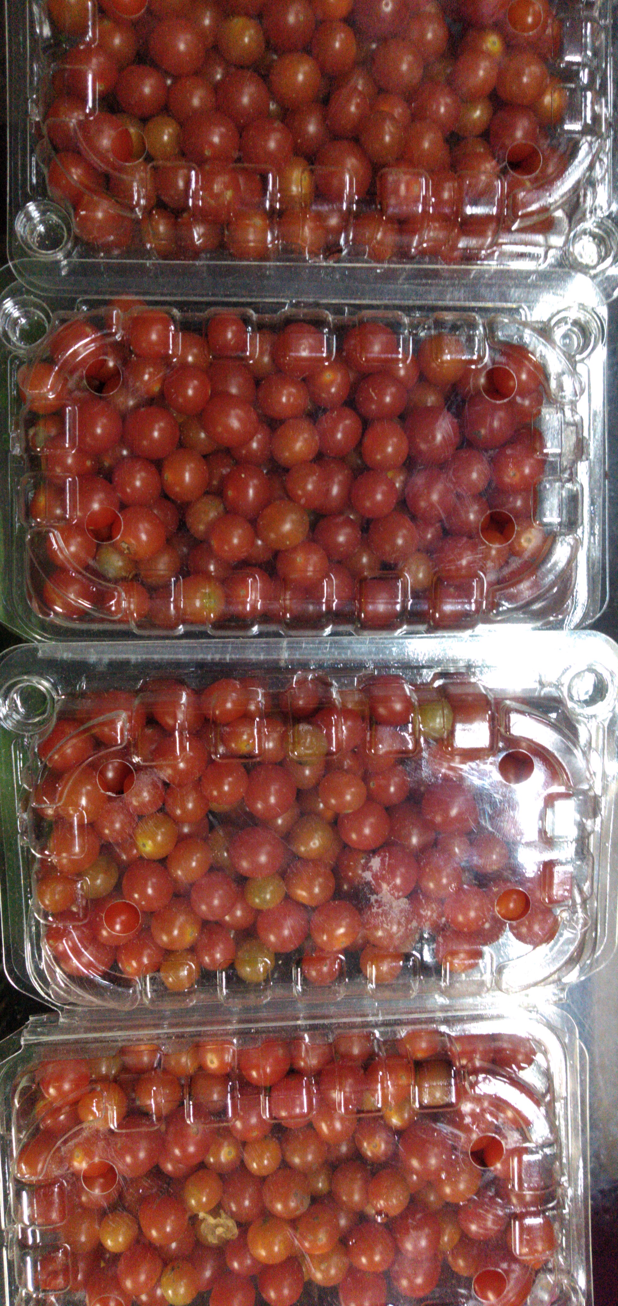 Tomate perla x 300 gm