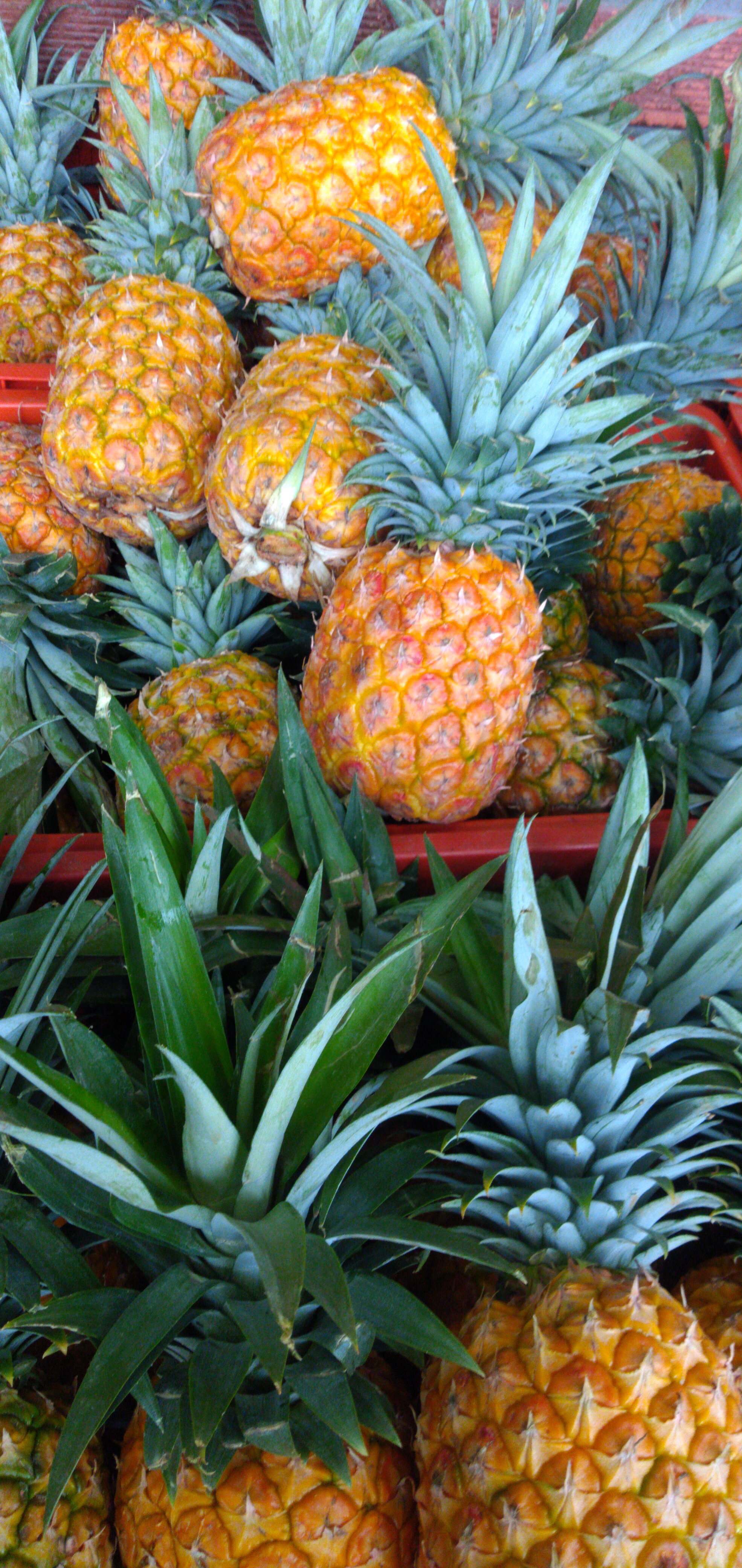 Piña oromiel