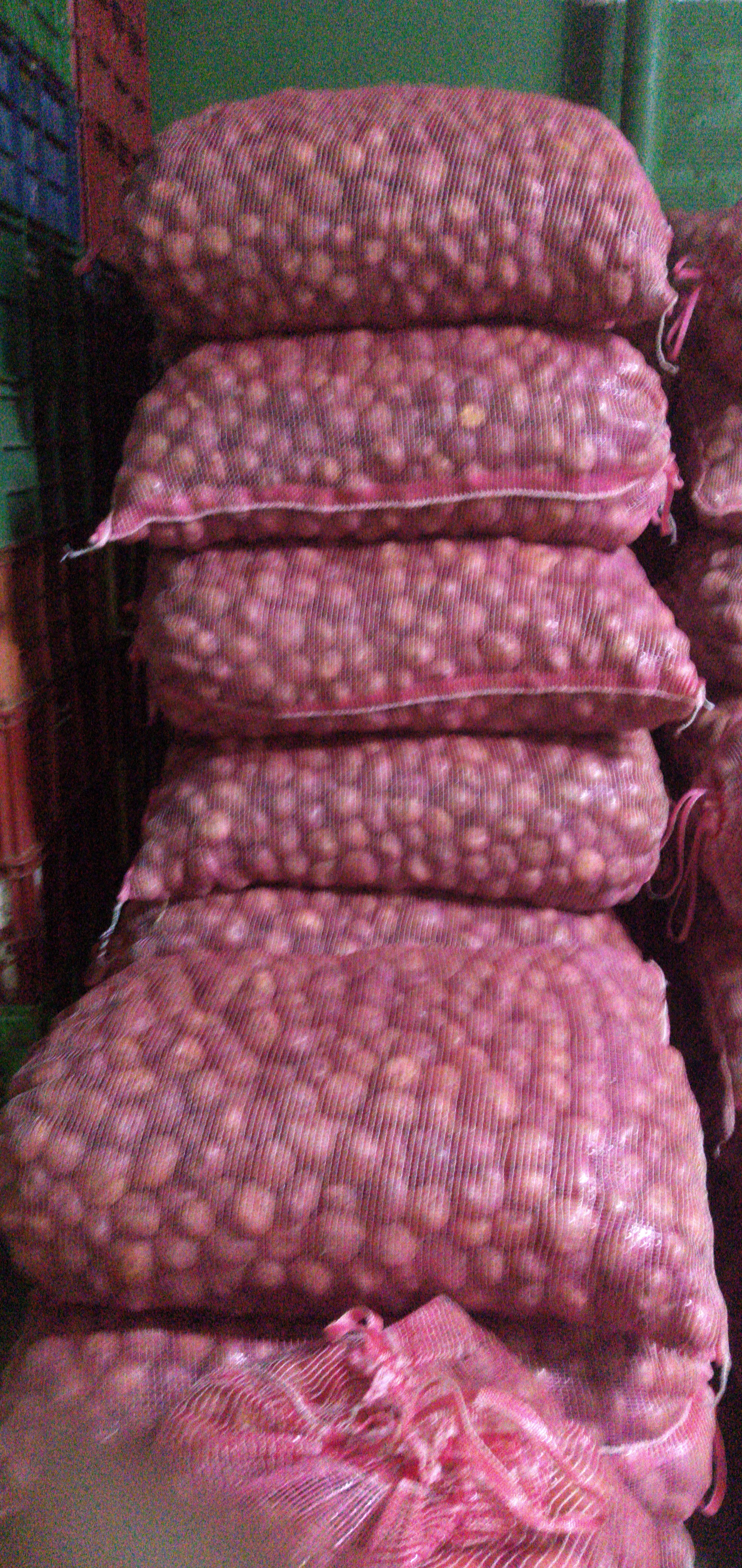 Papa empanada x 50 kg