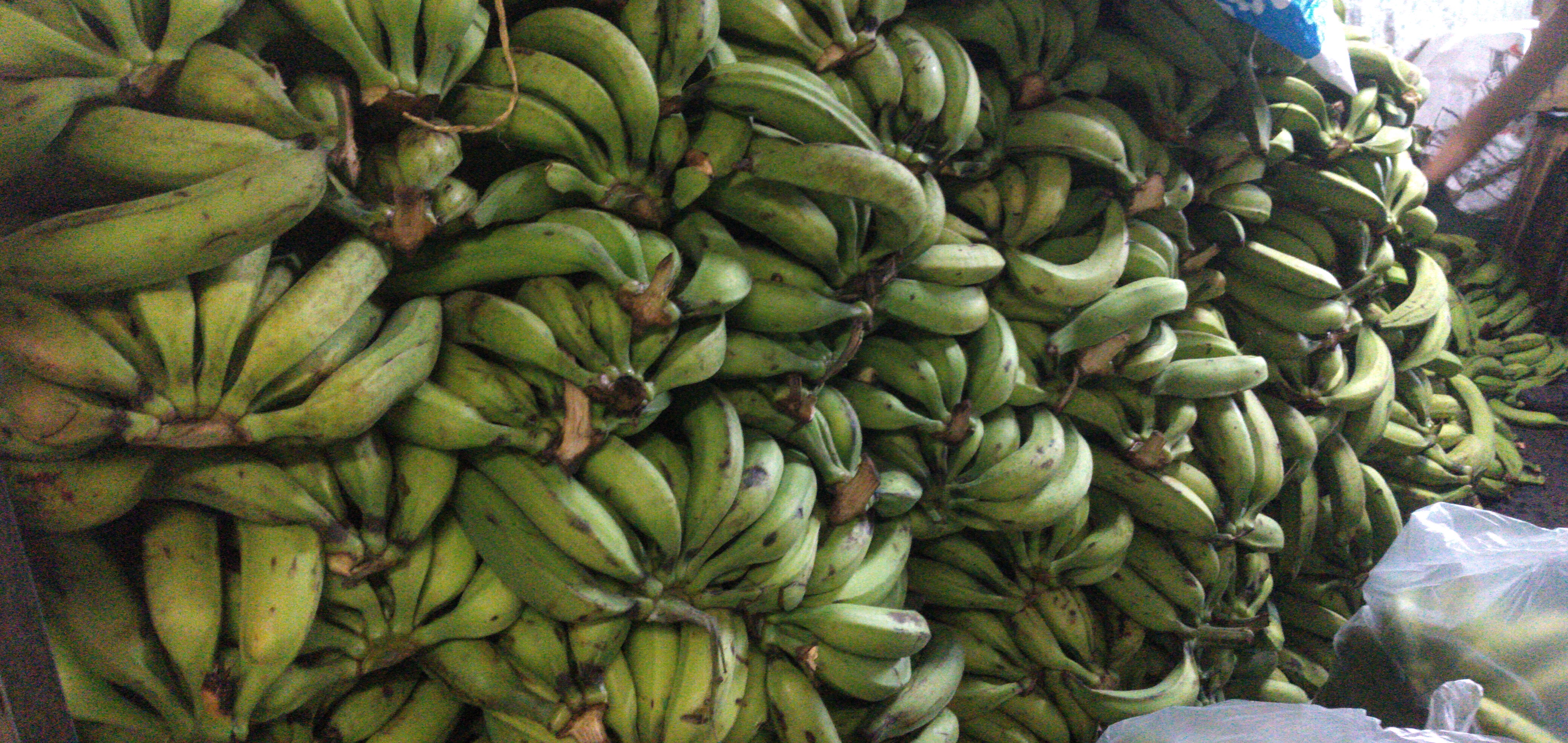 Plátano verde