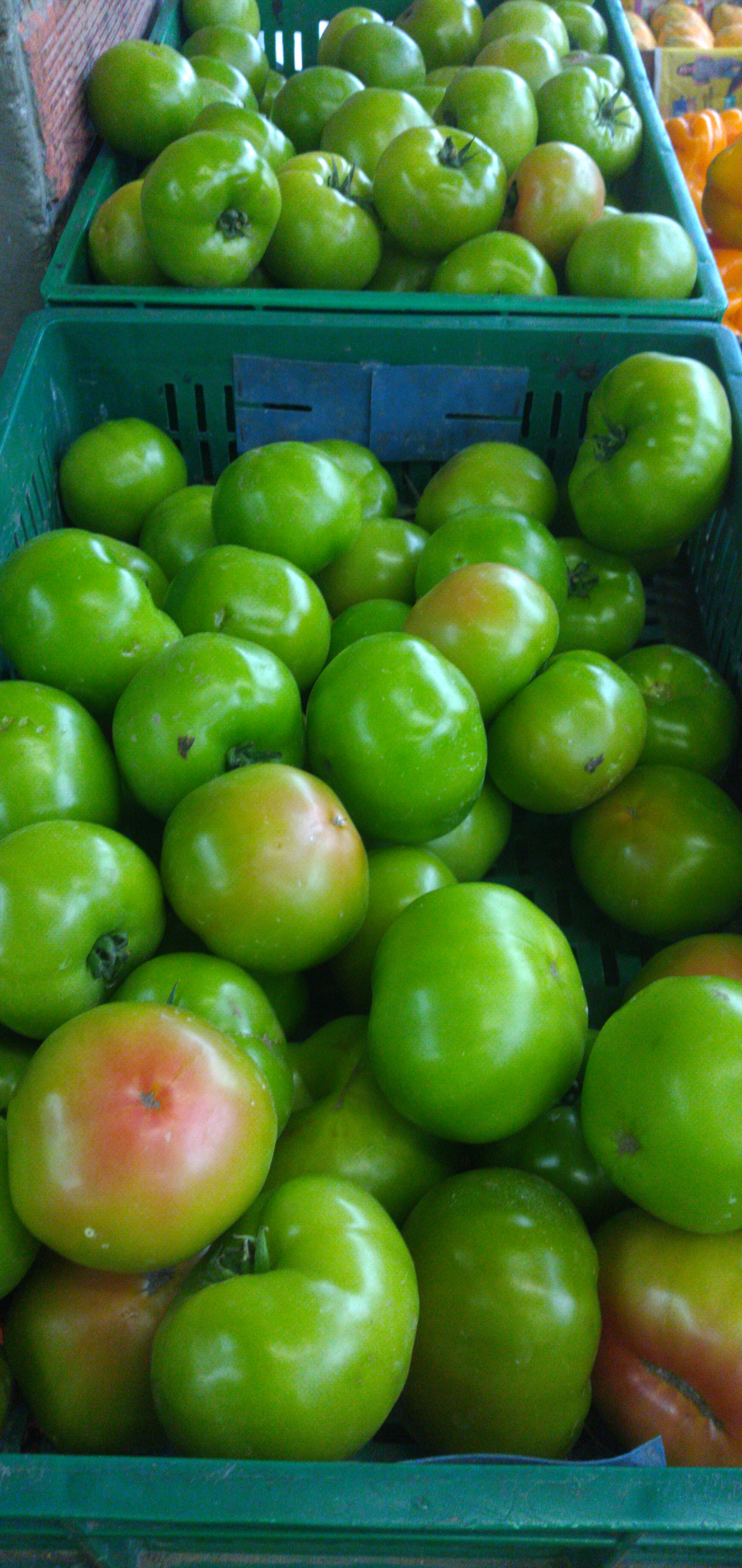 Tomate riñón