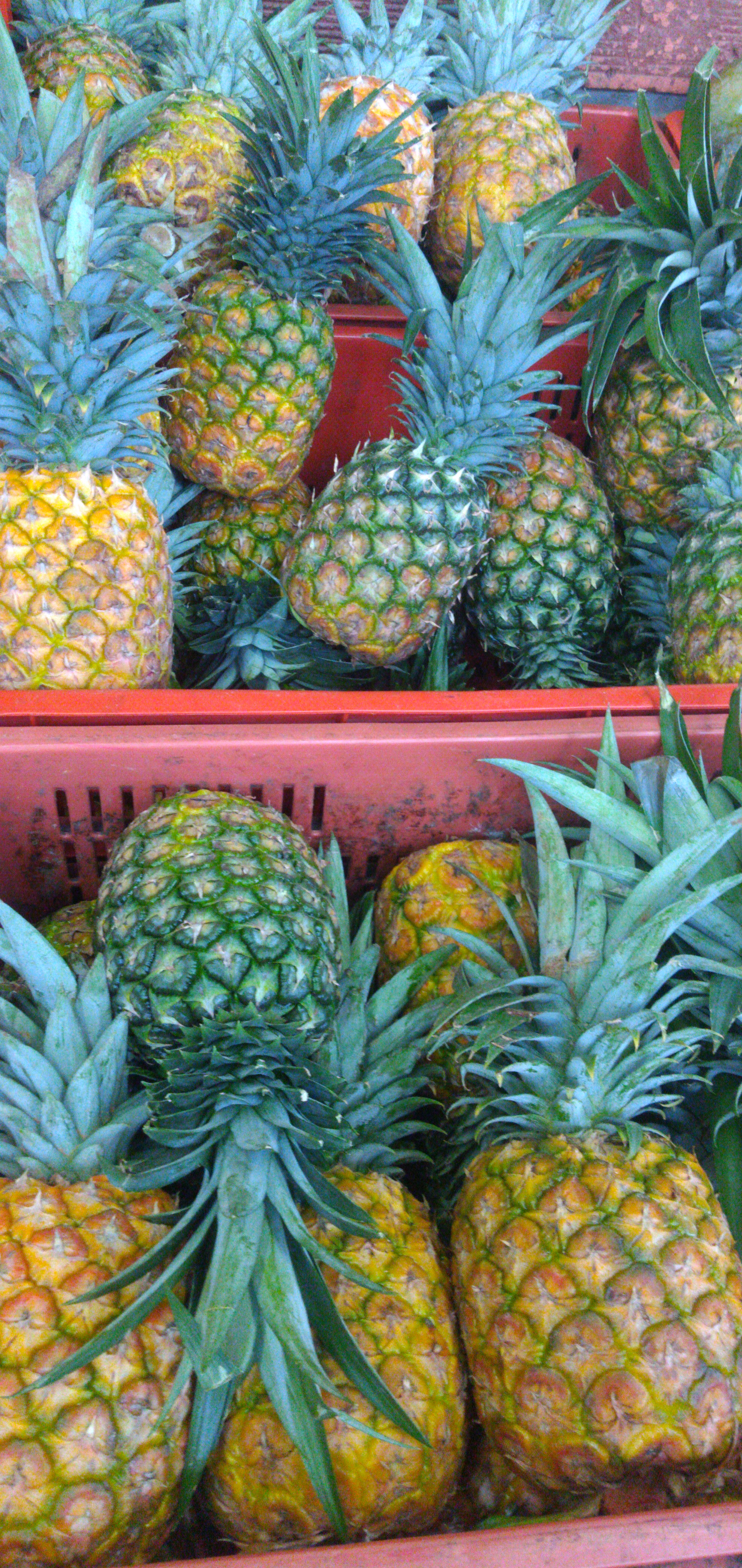 Piña oromiel