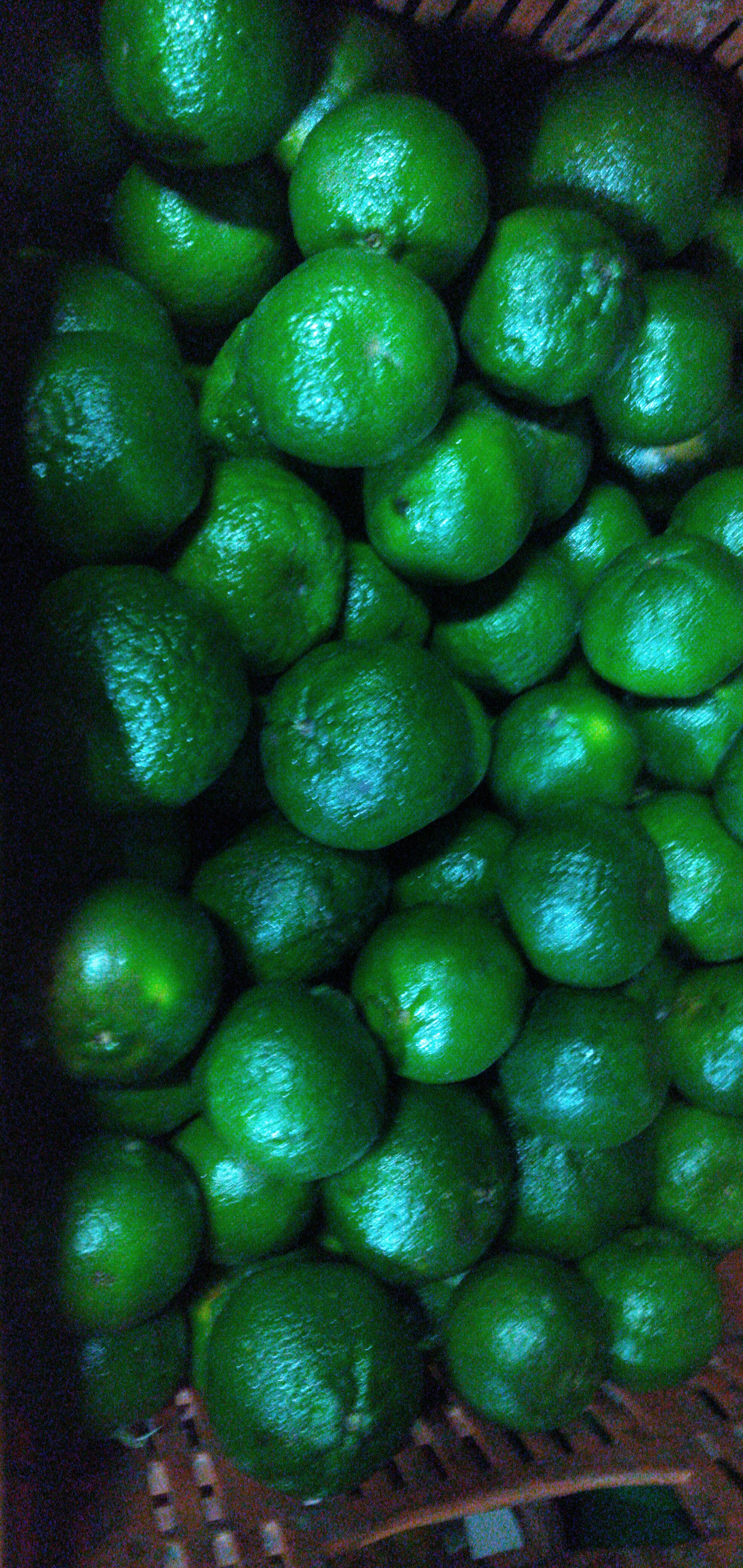 Mandarina