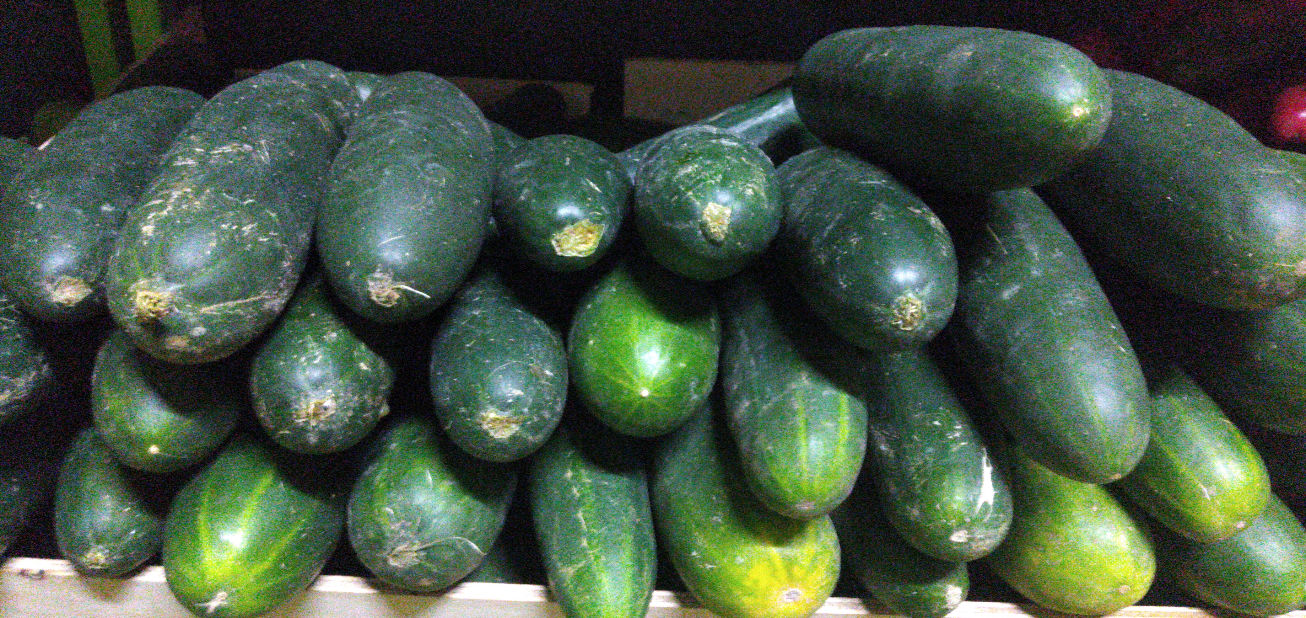 Pepino