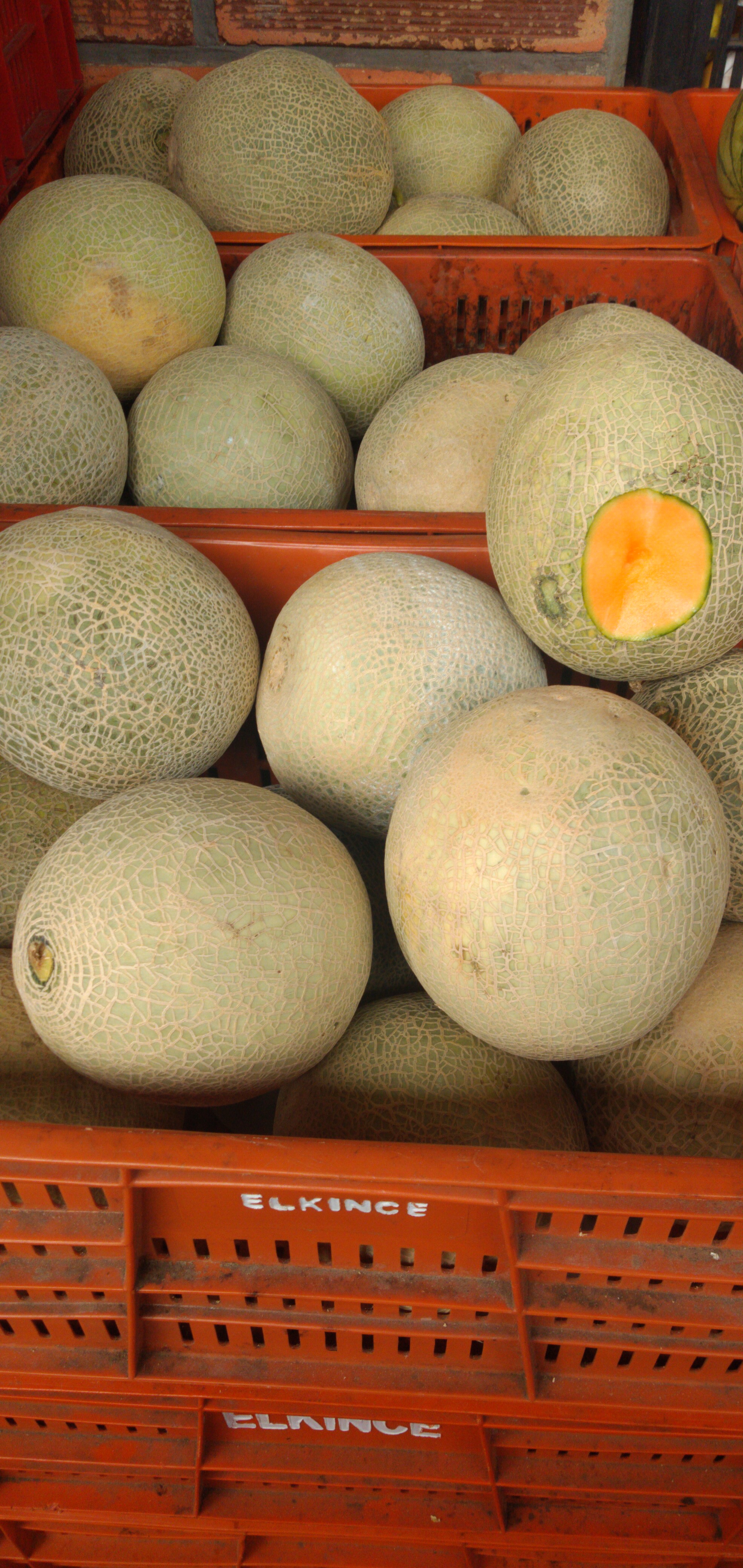Melón