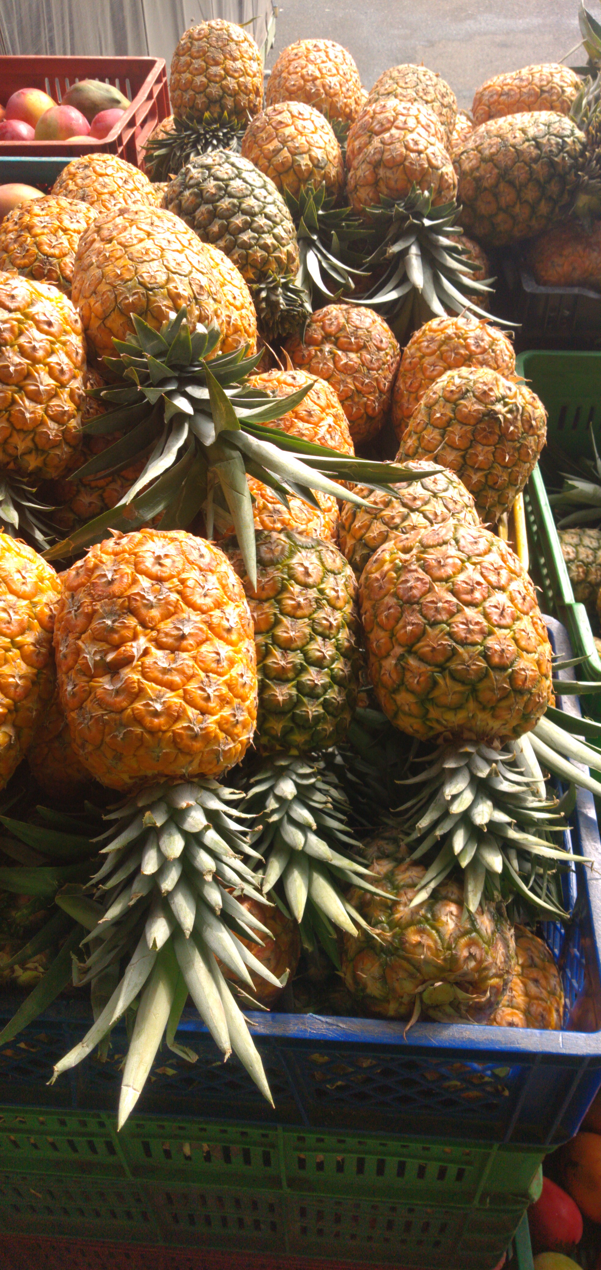 Piña oromiel