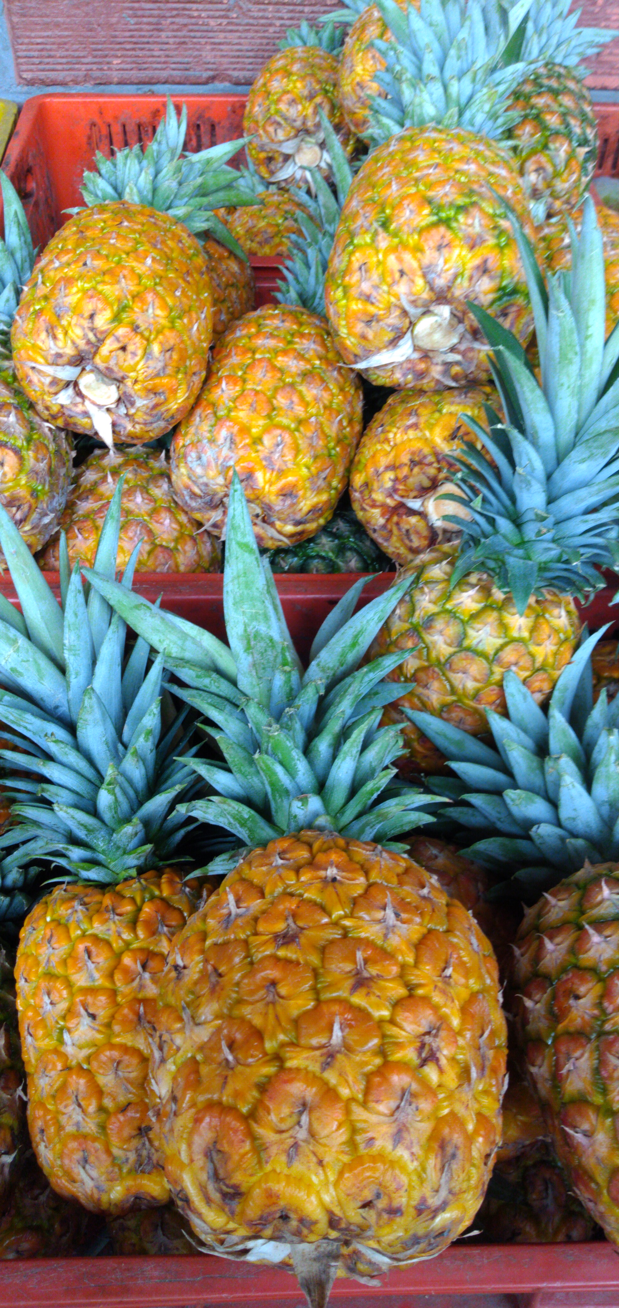 Piña oromiel