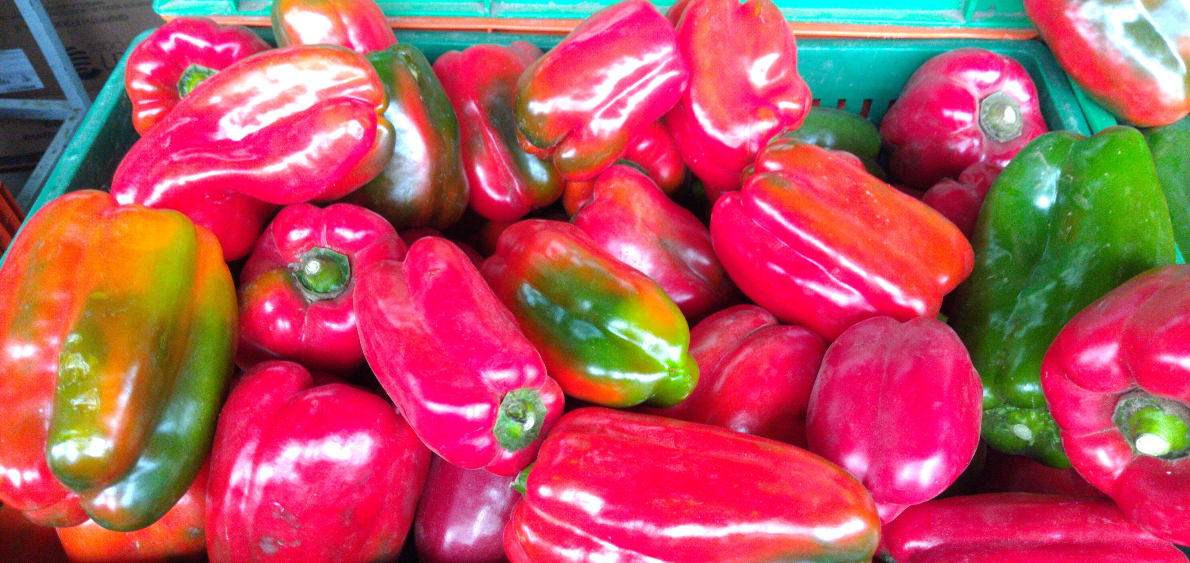 Pimenton rojo cuatro cascos