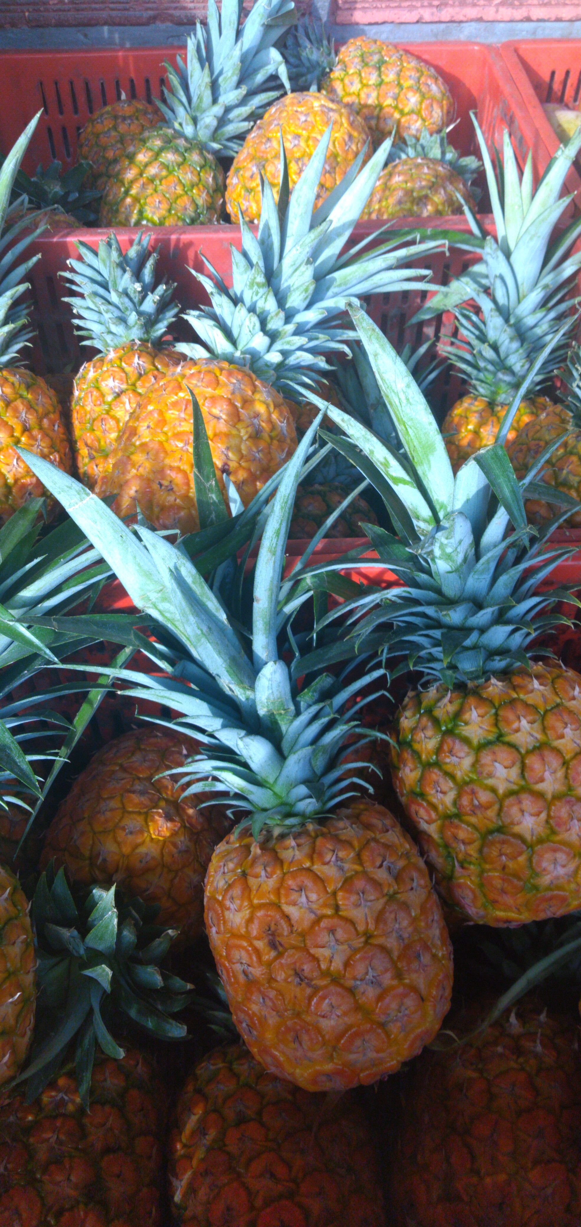 Piña oromiel