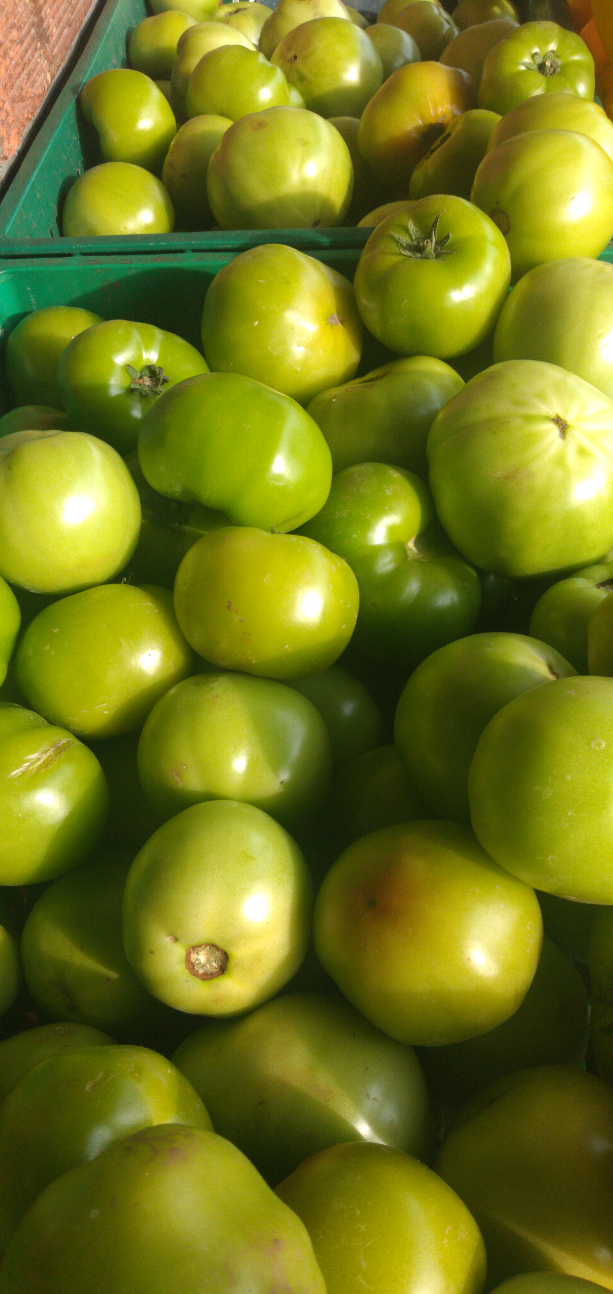 Tomate riñón