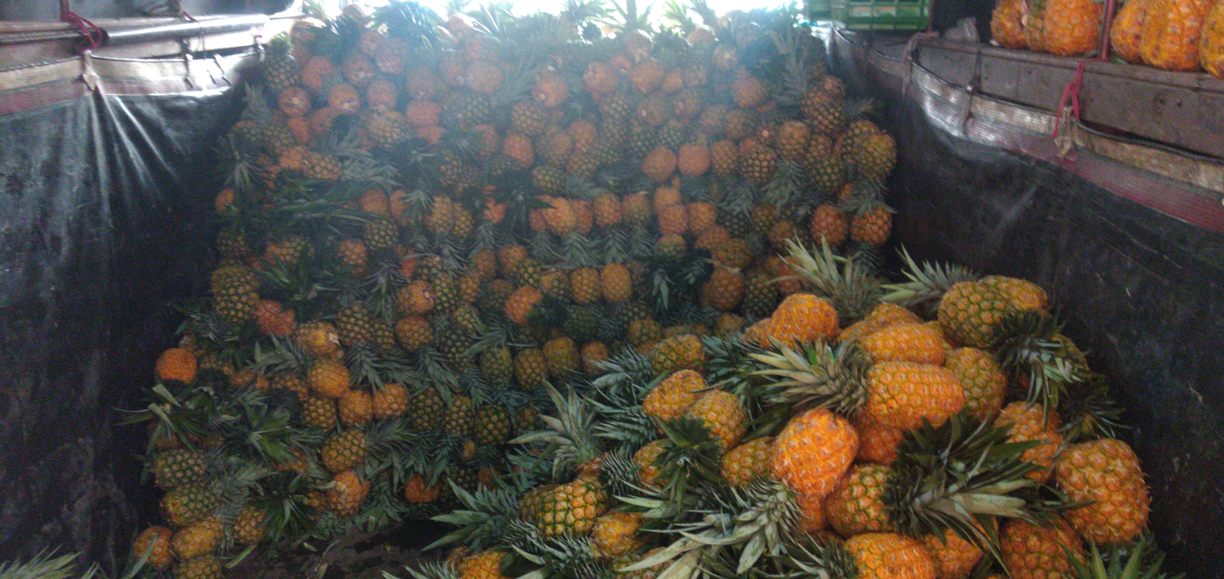 Piña oromiel