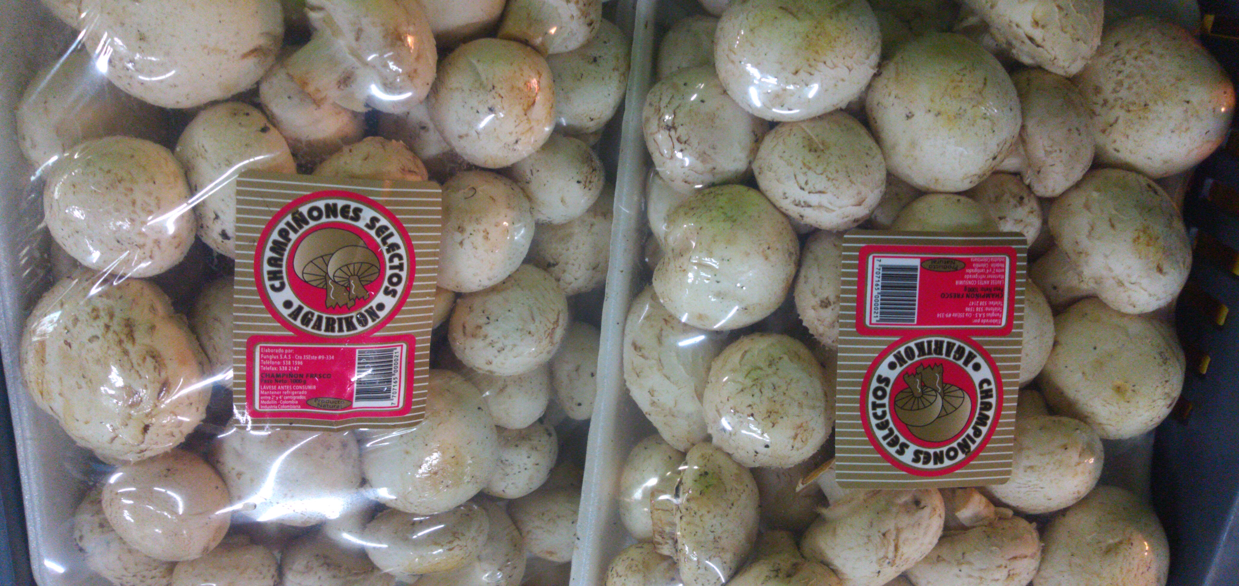 Champiñon x kilo