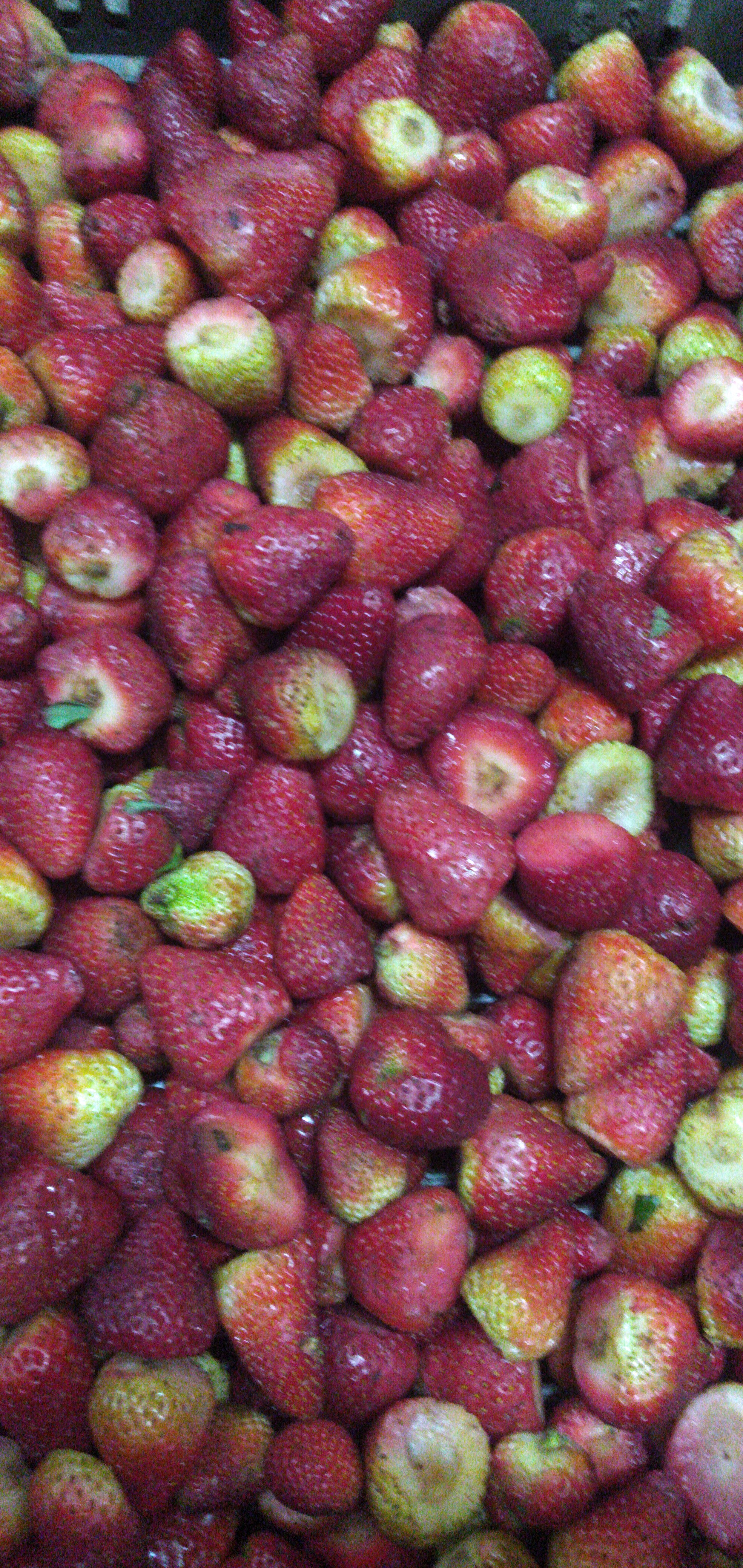 Fresa despitonada
