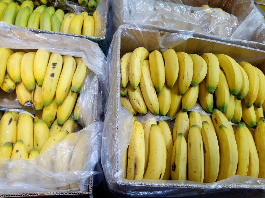 Banano