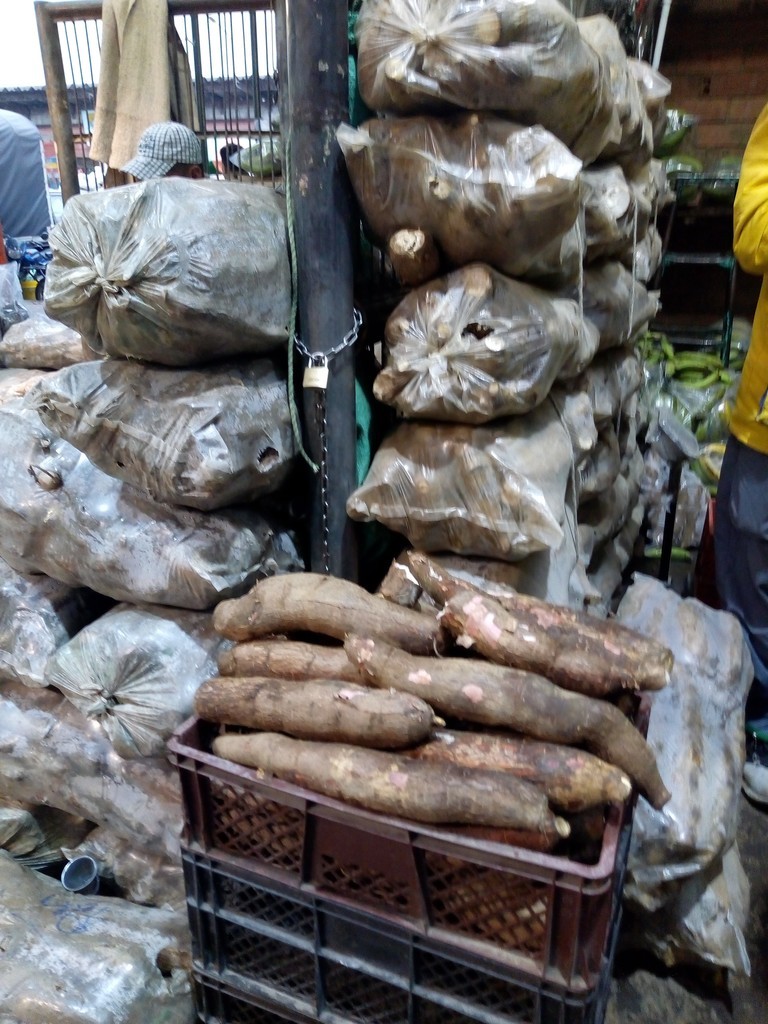 Yuca pareja