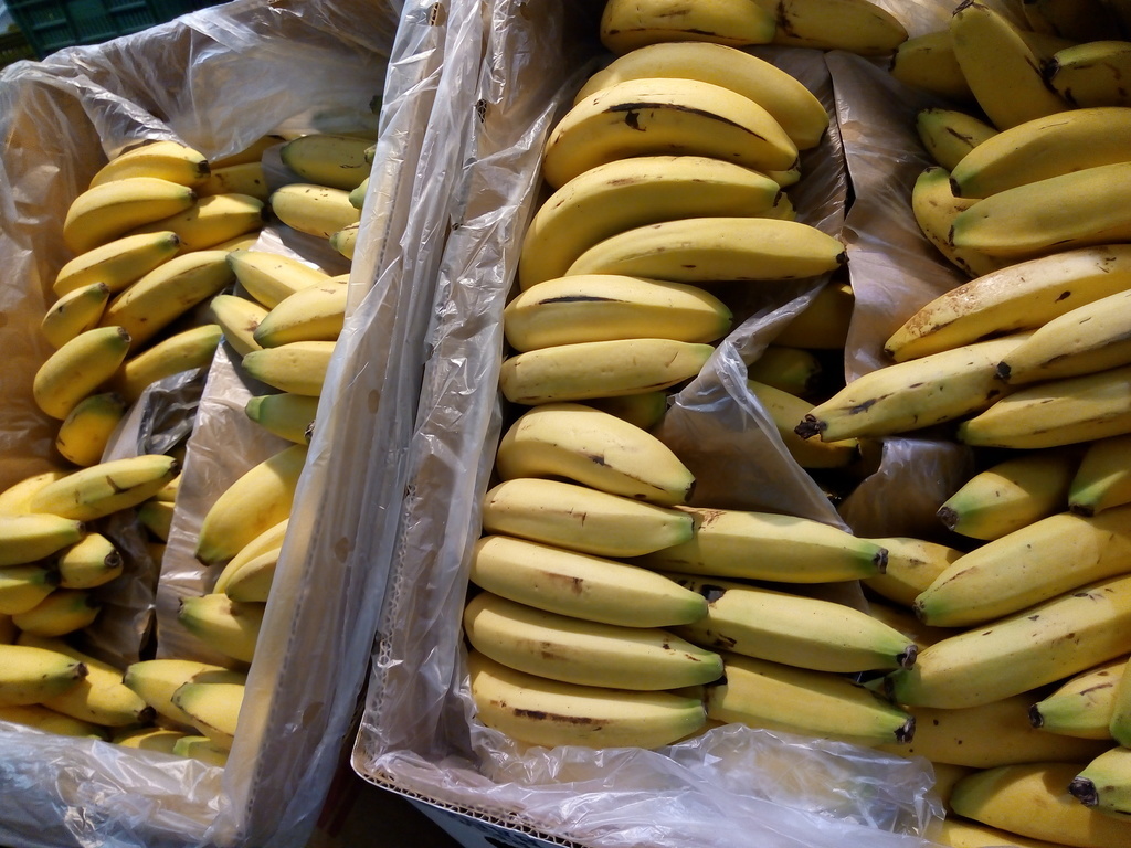 Banano