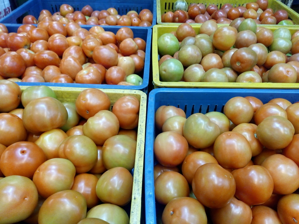 Tomate