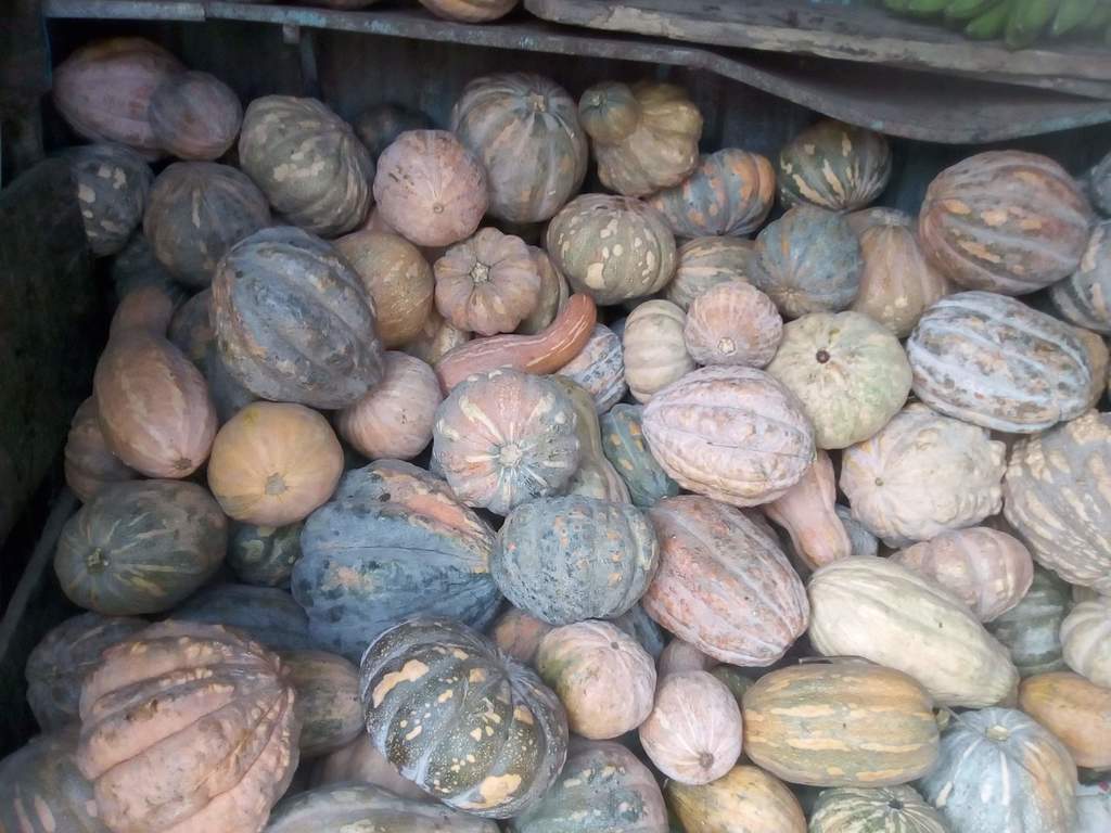 Ahuyama