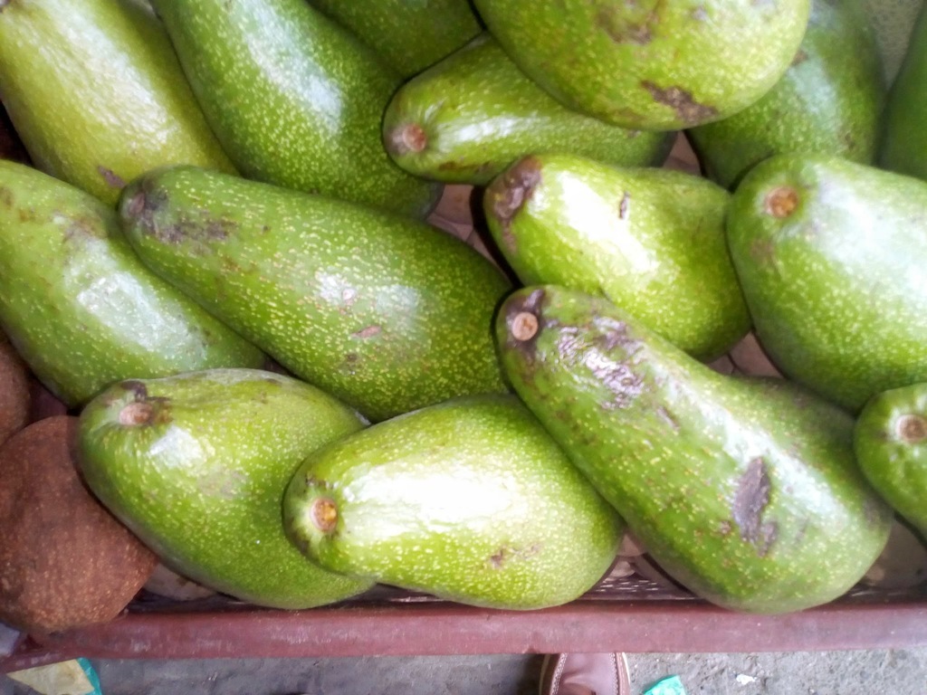 Aguacate