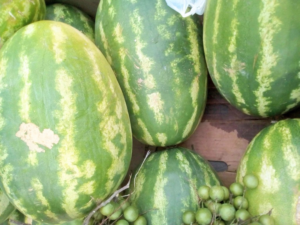 Sandía
