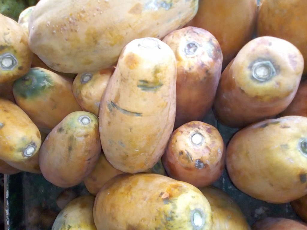Papaya