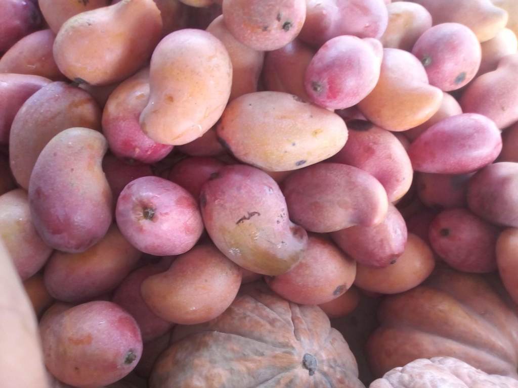 Mango de chupa