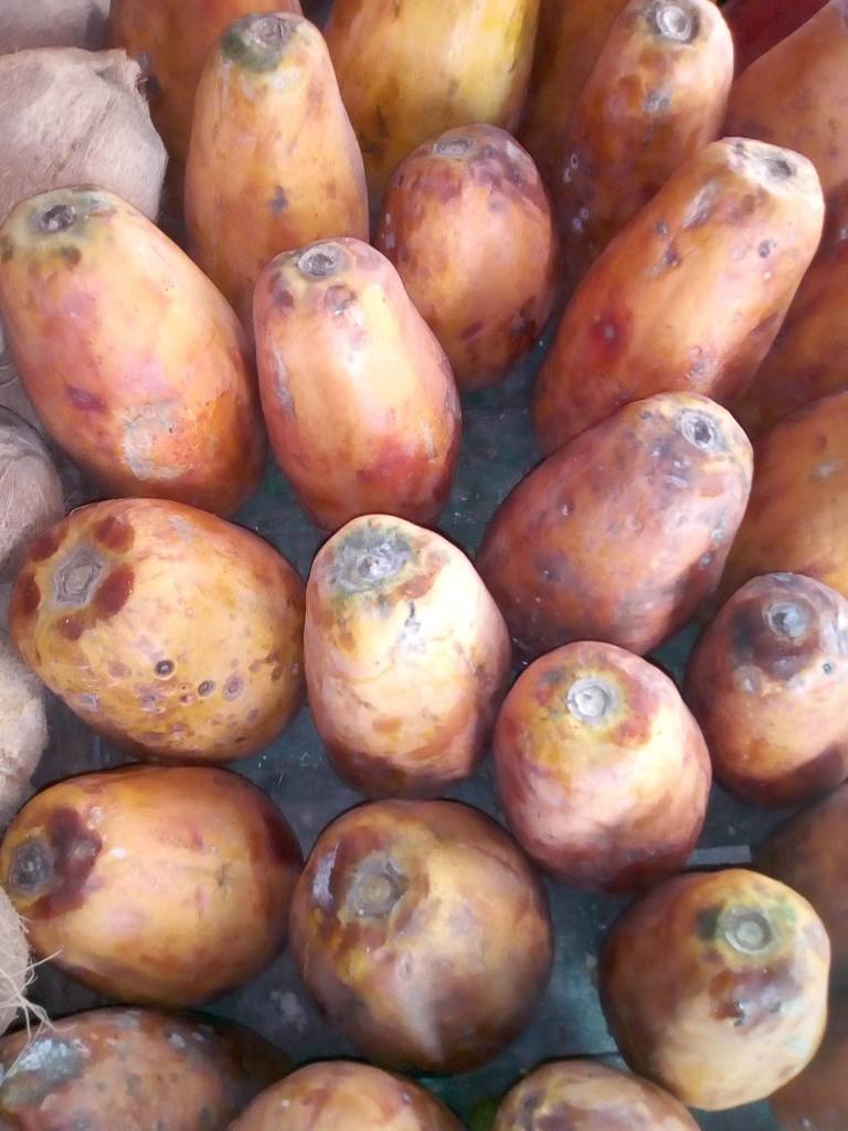 Papaya