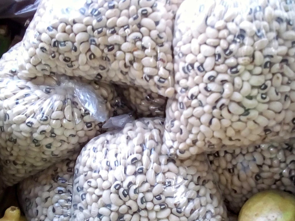 Frijol criollo