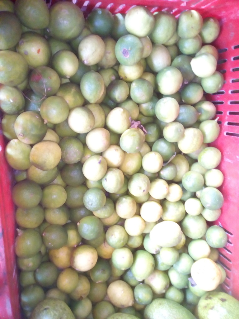Limón