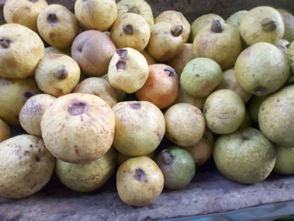 Guayaba agria