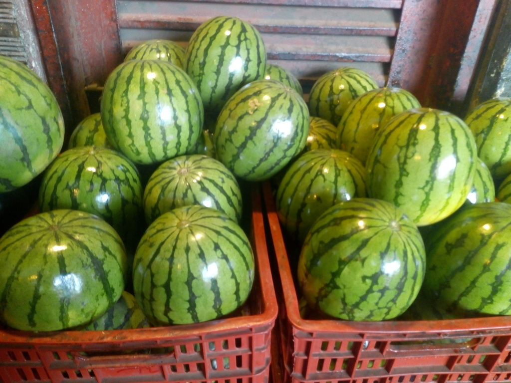 Sandía baby