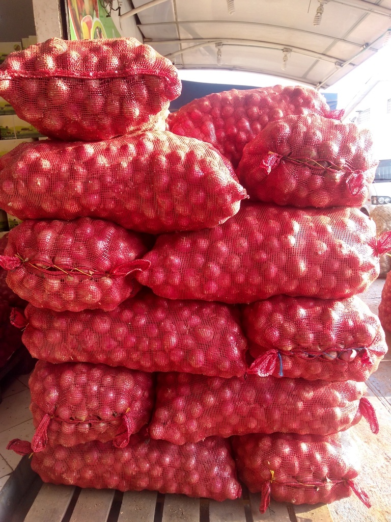 Cebolla ocañera