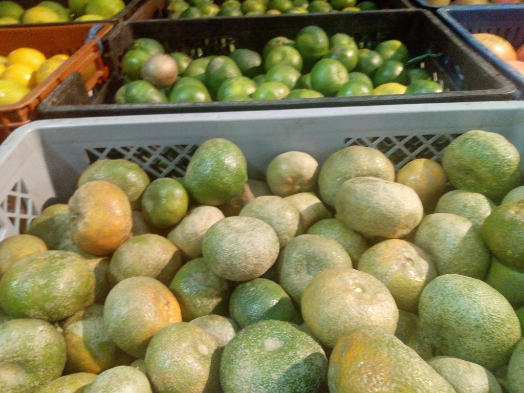 Mandarina manchada