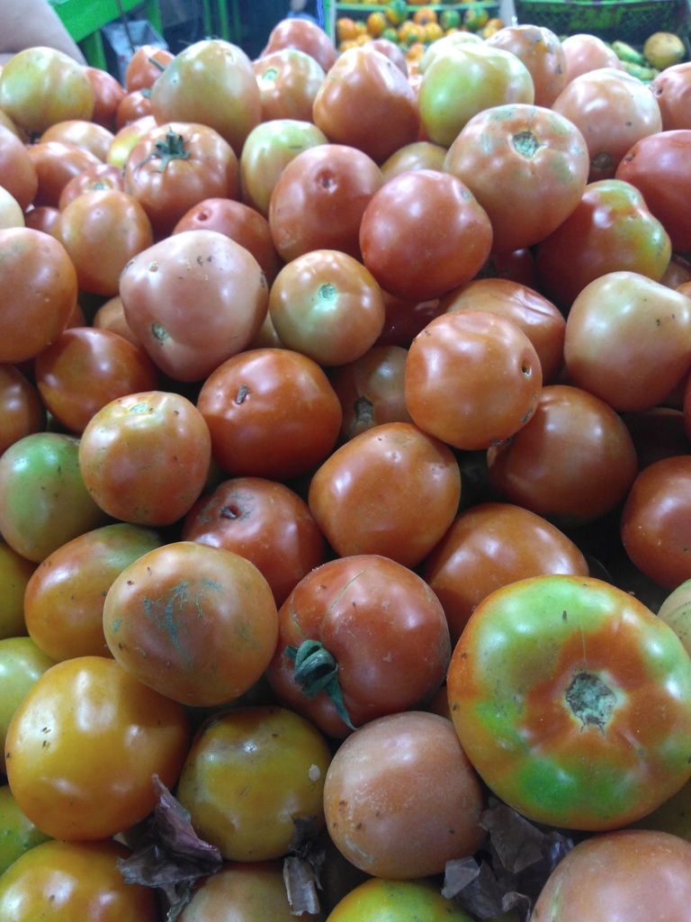 Tomate