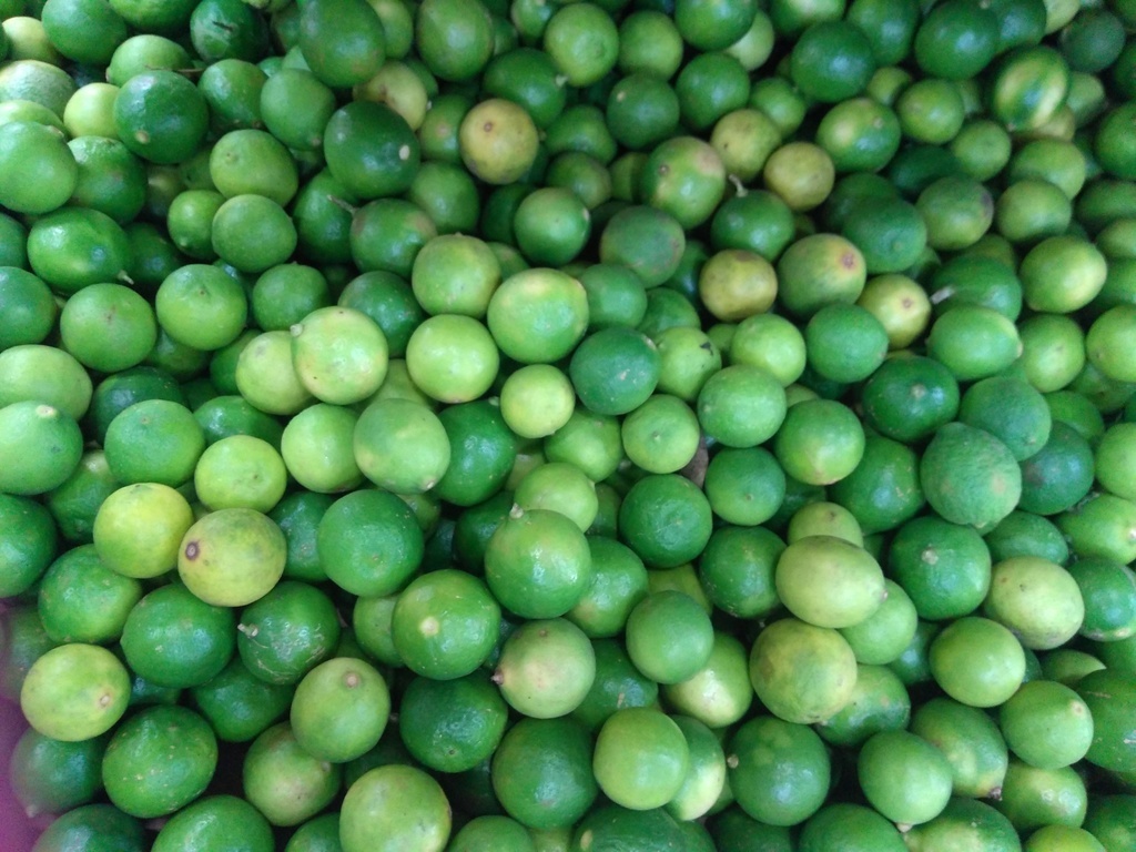 Limón