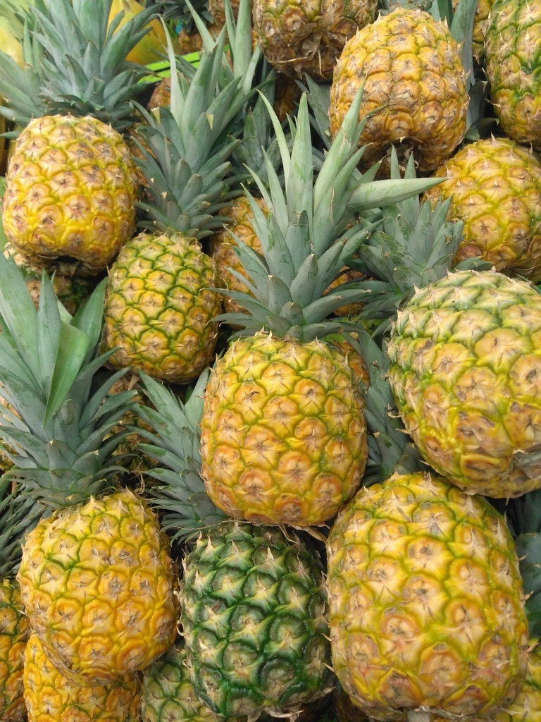 Piña oro miel grande