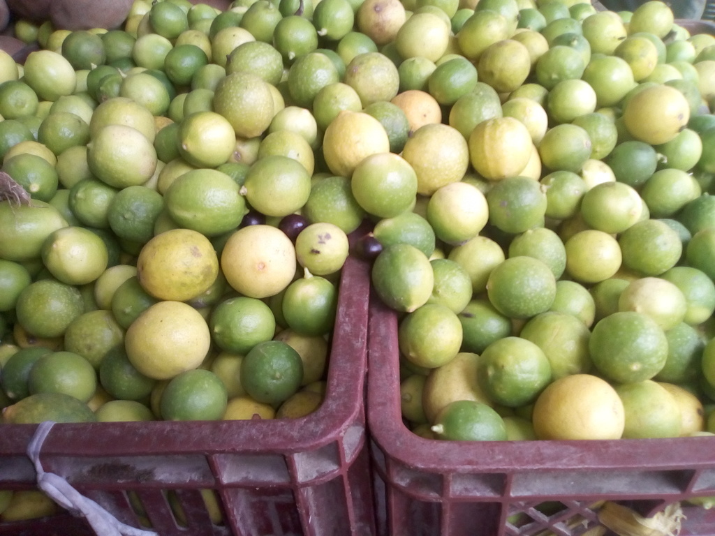 Limón