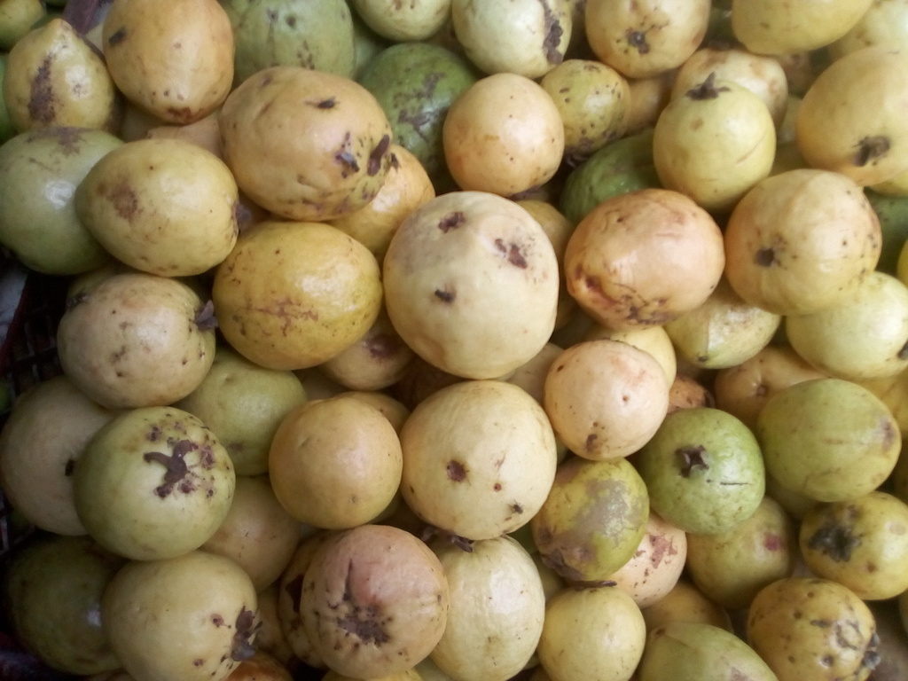 Guayaba dulce