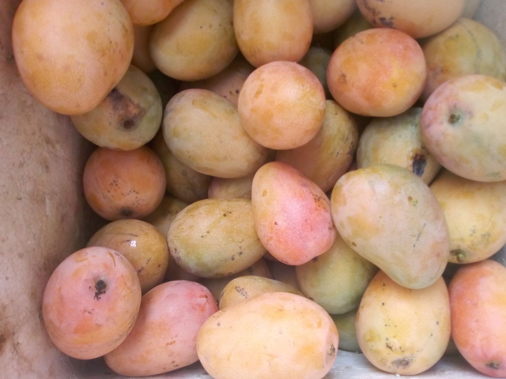 Mango azúcar