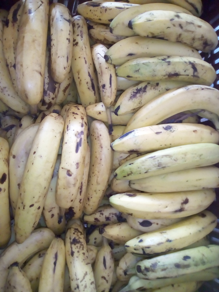 Banano Maduro x canasta